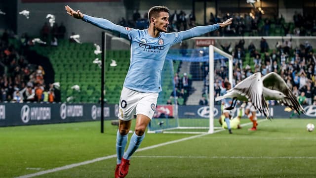 Melbourne City FC artwork 8