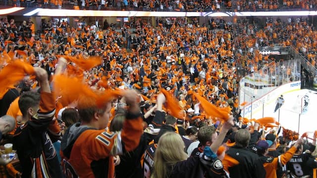 Anaheim Ducks artwork 8