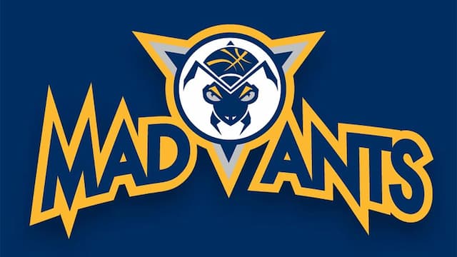 Fort Wayne Mad Ants artwork 6