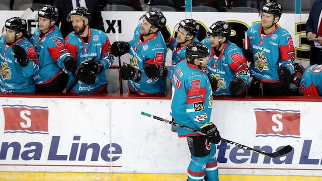 Belfast Giants artwork 8