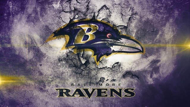Baltimore Ravens artwork 8