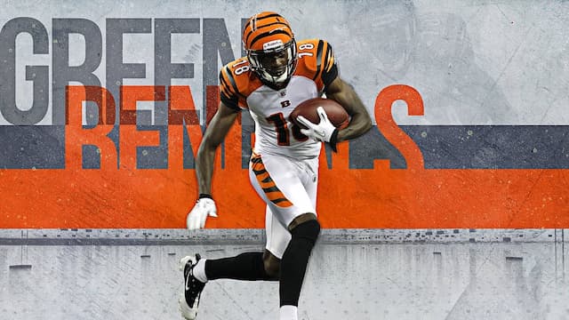Cincinnati Bengals artwork 8