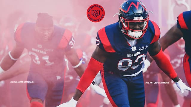 Montreal Alouettes artwork 8