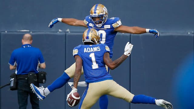 Winnipeg Blue Bombers artwork 8