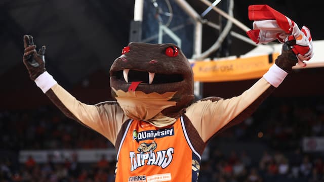 Cairns Taipans artwork 8