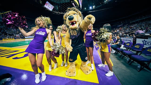 Sydney Kings artwork 8