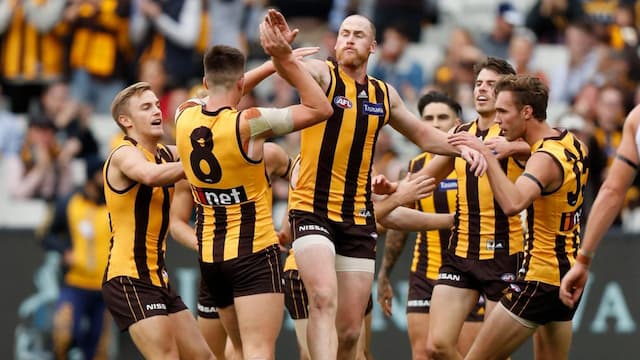 Hawthorn Football Club artwork 8