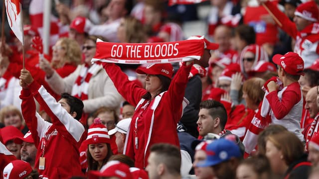 Sydney Swans artwork 8