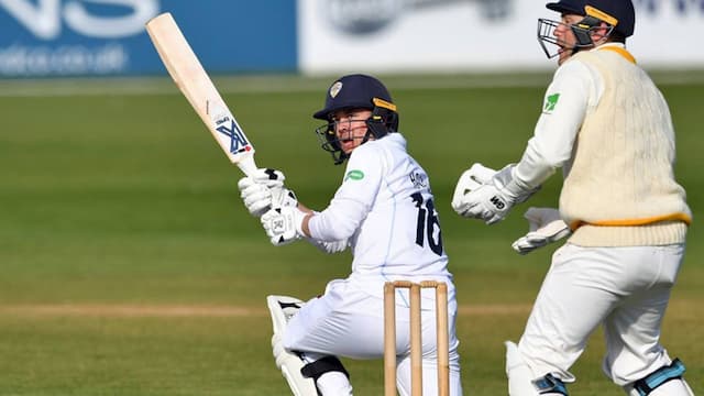 Derbyshire artwork 7