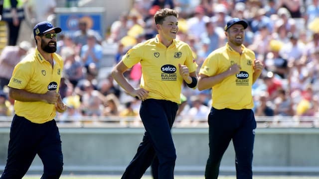 Birmingham Bears artwork 8