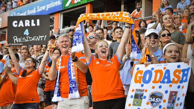 Houston Dash artwork 8