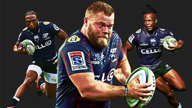 The Sharks artwork 8