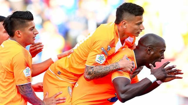 Envigado F.C. artwork 8