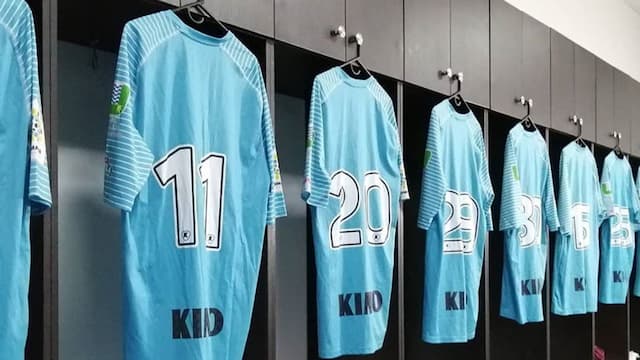 Jaguares de Córdoba artwork 8