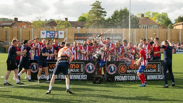 Dorking Wanderers artwork 5