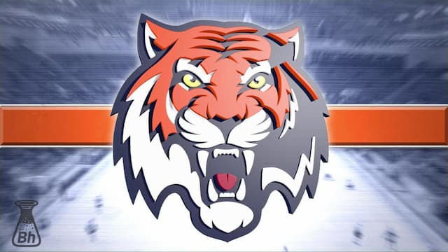 Amur Khabarovsk artwork 8