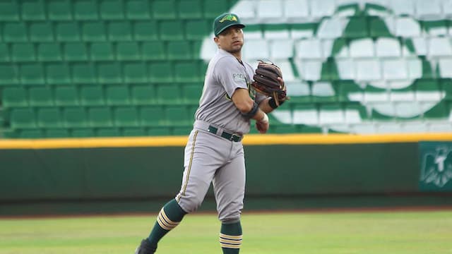 Pericos de Puebla artwork 8