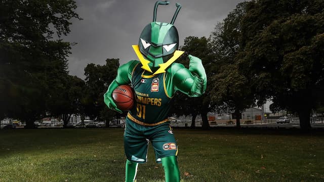 Tasmania JackJumpers artwork 8