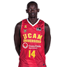 Peter Jok