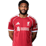 Joe Gomez