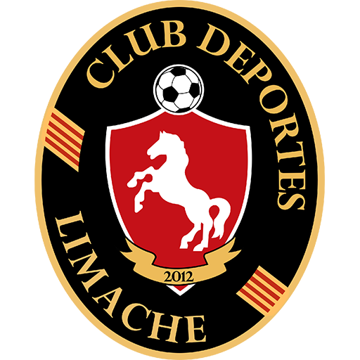Deportes Limache artwork 1