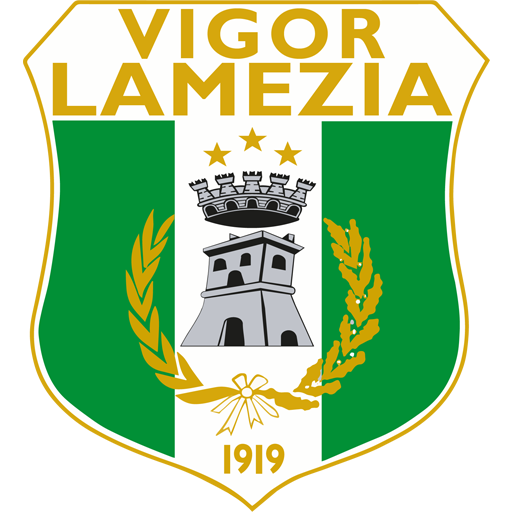 Vigor Lamezia artwork 1
