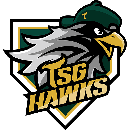 TSG Hawks badge