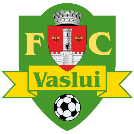 FC Vaslui artwork 1