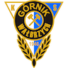 Górnik Wałbrzych