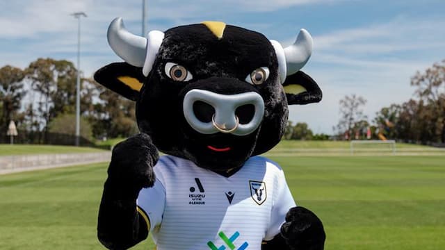 Macarthur FC artwork 8