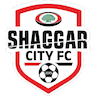 Shaggar City