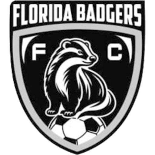Florida Badgers artwork 1